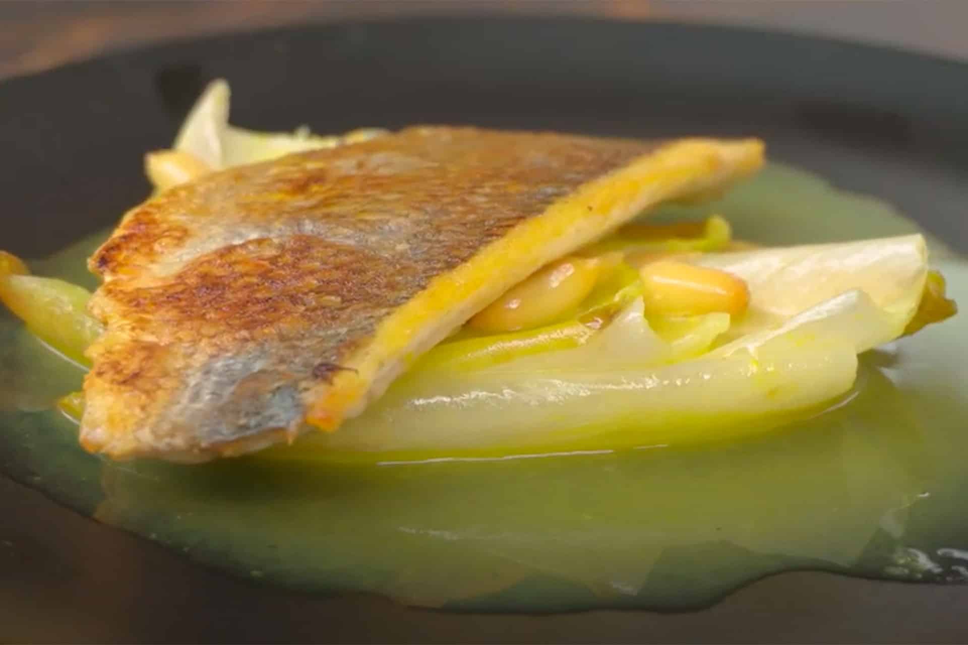 Dorade mit Orangenbutter und Chicoree - alma Küchen
