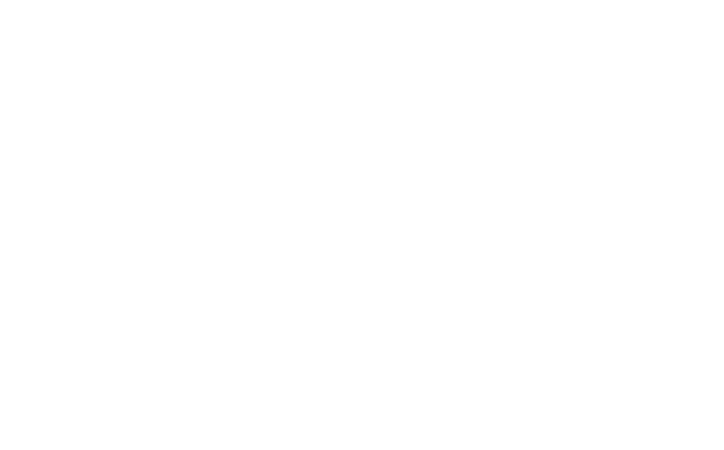 bora_web_logo