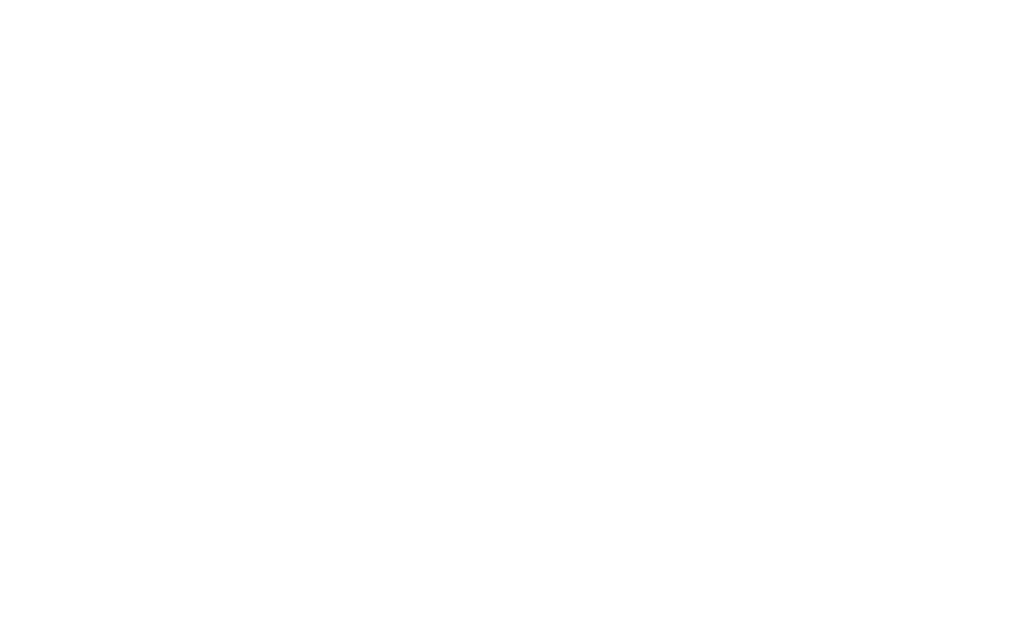reginox_web_logo
