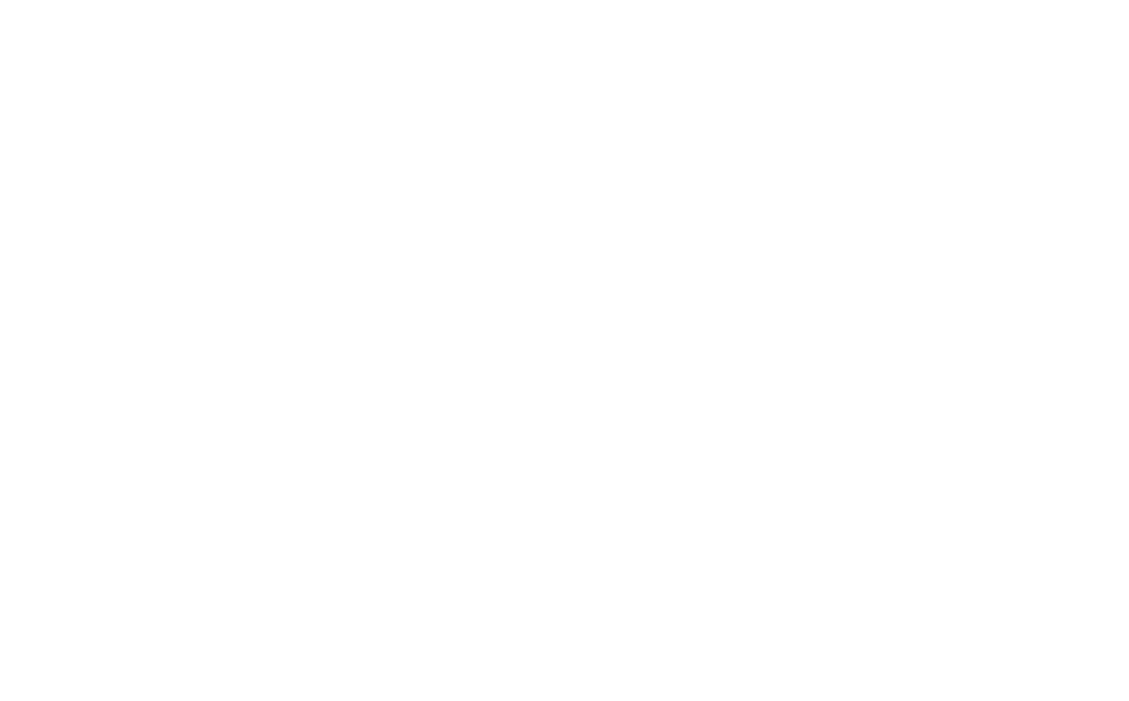 zanker_web_logo